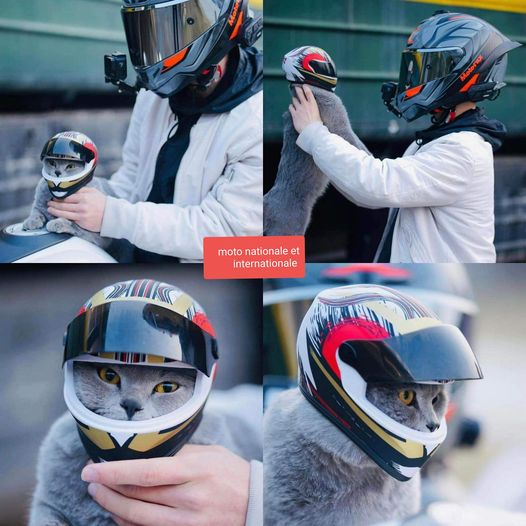 ��� ������.... �����������