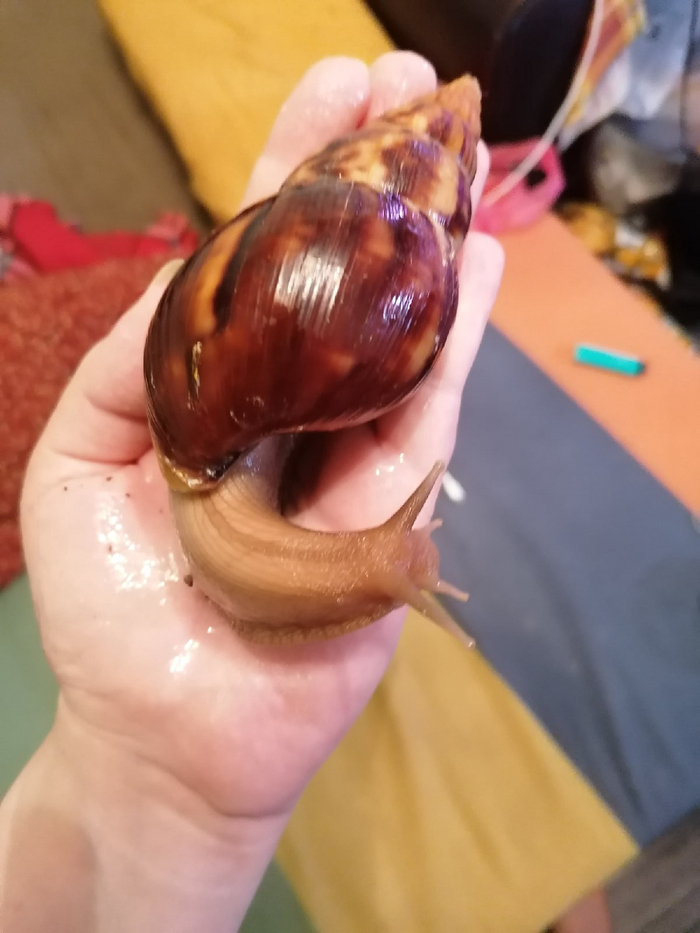     , ,  , , 
