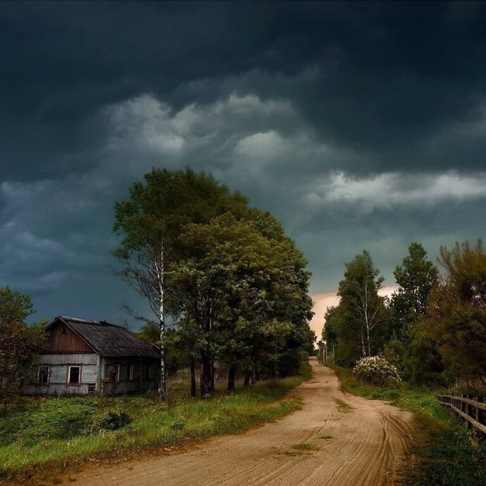 Забытый дом