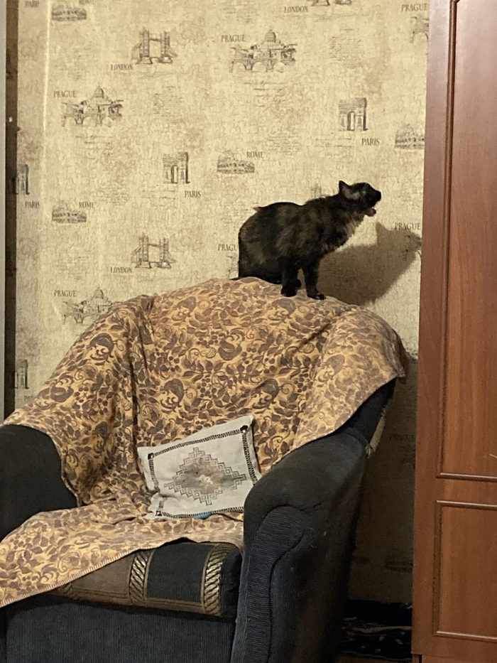 Помогите советом, пожалуйста