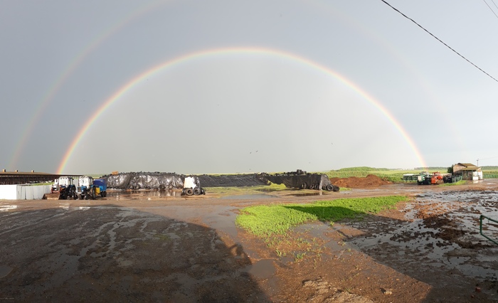 Rainbow