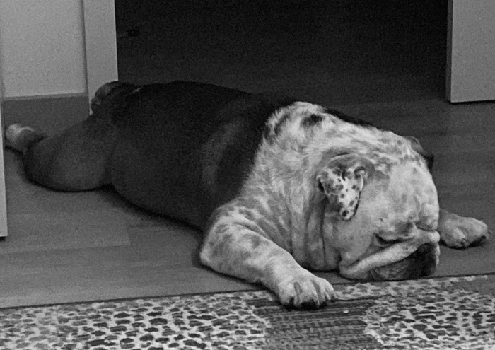 Кота нет, постим что есть!