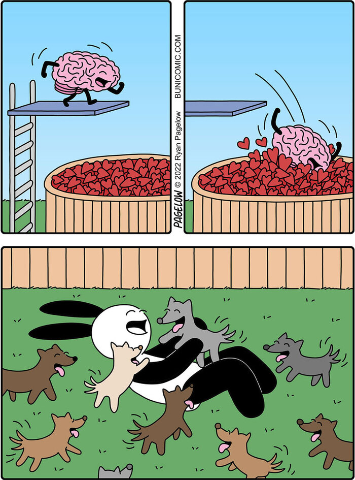  Buni, Pagelow, , , , , , -