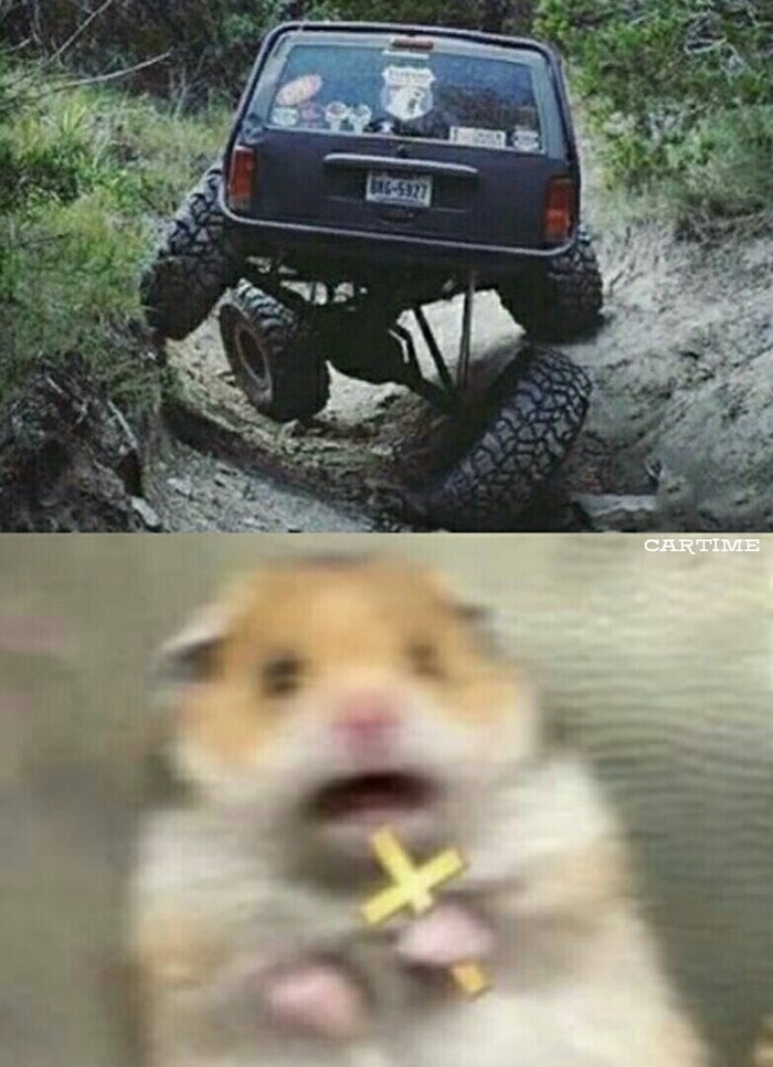 ��� �� �����?