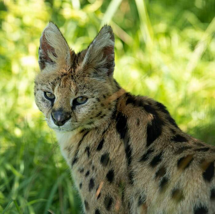 И снова день рождения. 12 годиков