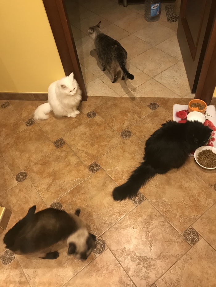 ����� �� ���� �� ��� ��� ��������� ���� ������ ?�