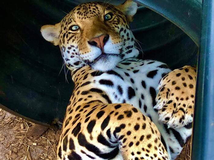 Похоже что это фото на паспорт