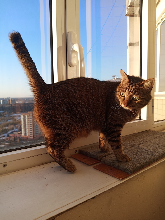 Греет жопку