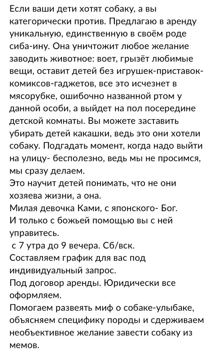 Авито жжёт Сиба-ину, Собака, Авито, Юмор, Длиннопост