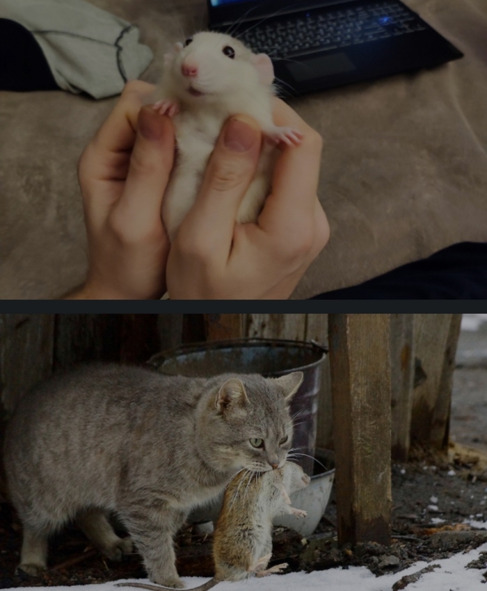 ������ �� ������