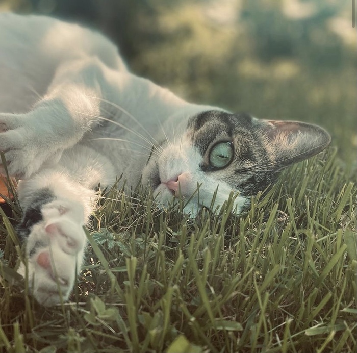 ����� ������ �������!