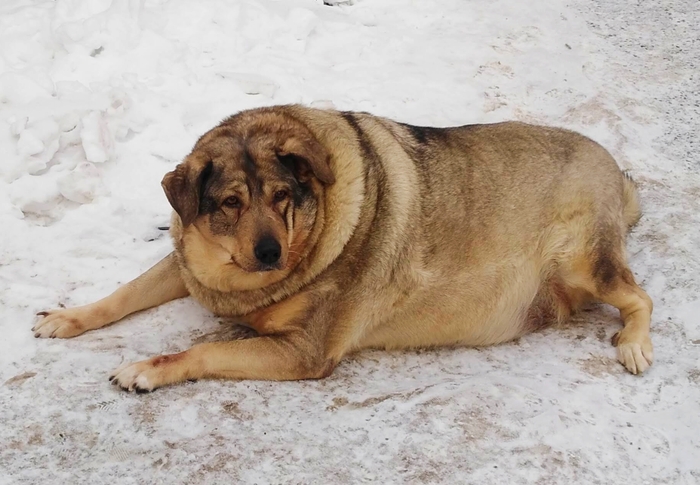 Жизнь удалась