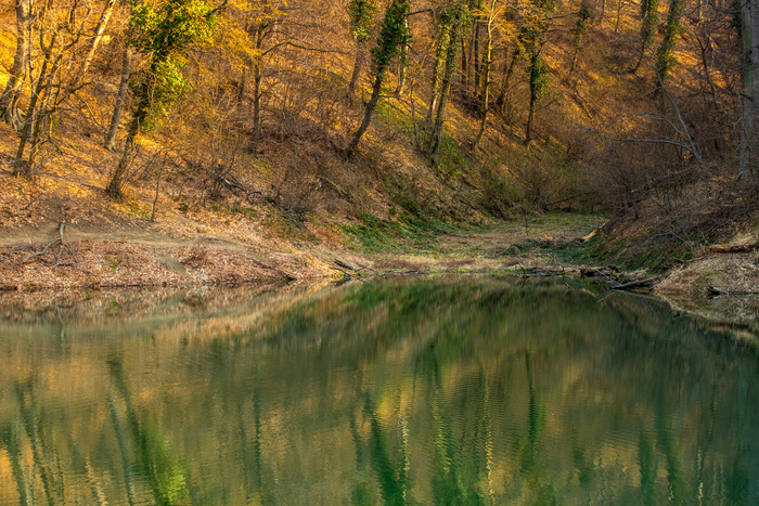 ������ � ������