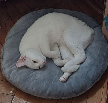   , ,  ,  ,  , ,    