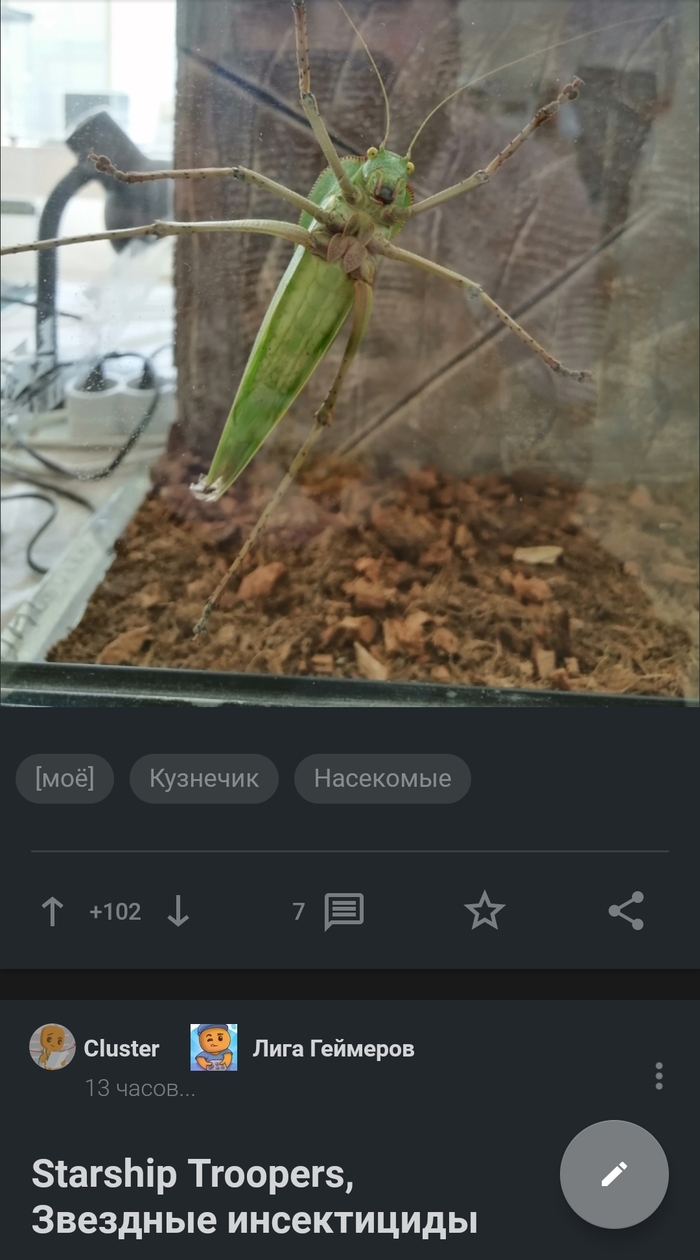 ?   () , , 