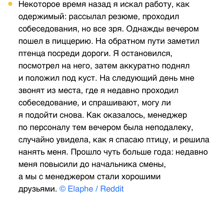 Доброе дело не осталось незамеченным