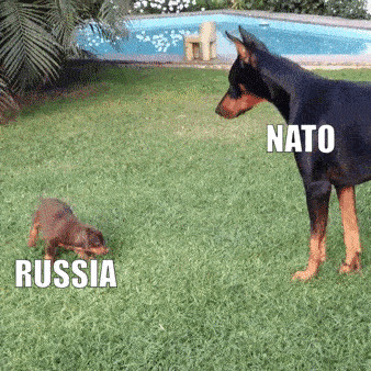 Kozacy przeciwko NATO