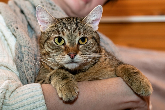 ���� ������ ������