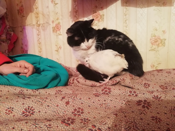     , , 