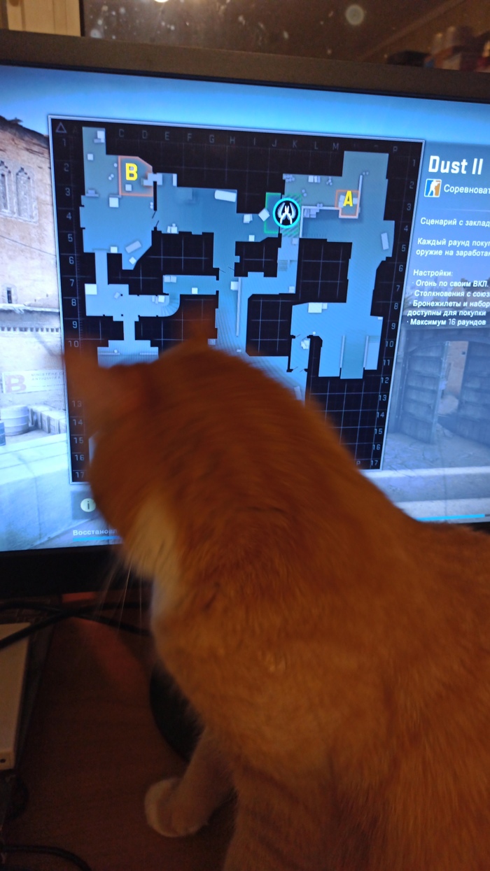 ����� �����?