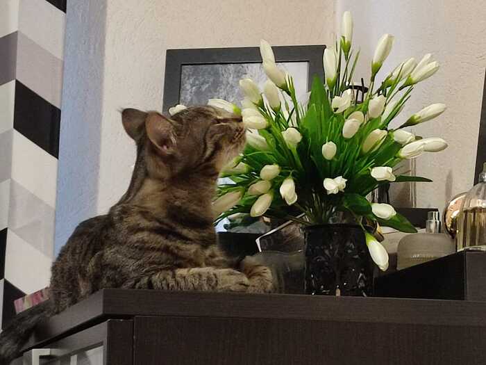 C 8 ����� ���� ����!