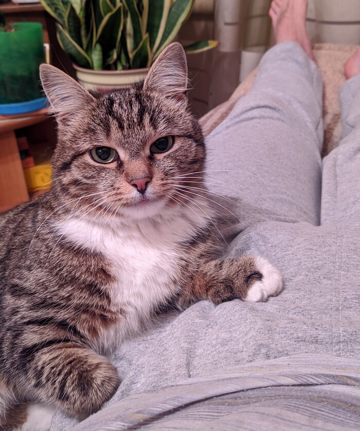 ��� ��� ���� ����