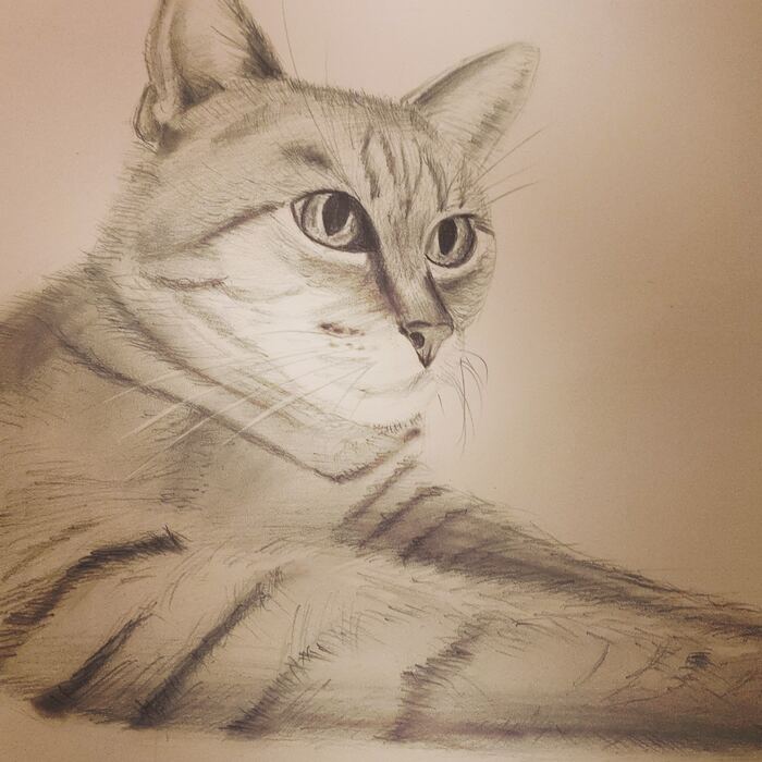 ��� ���?