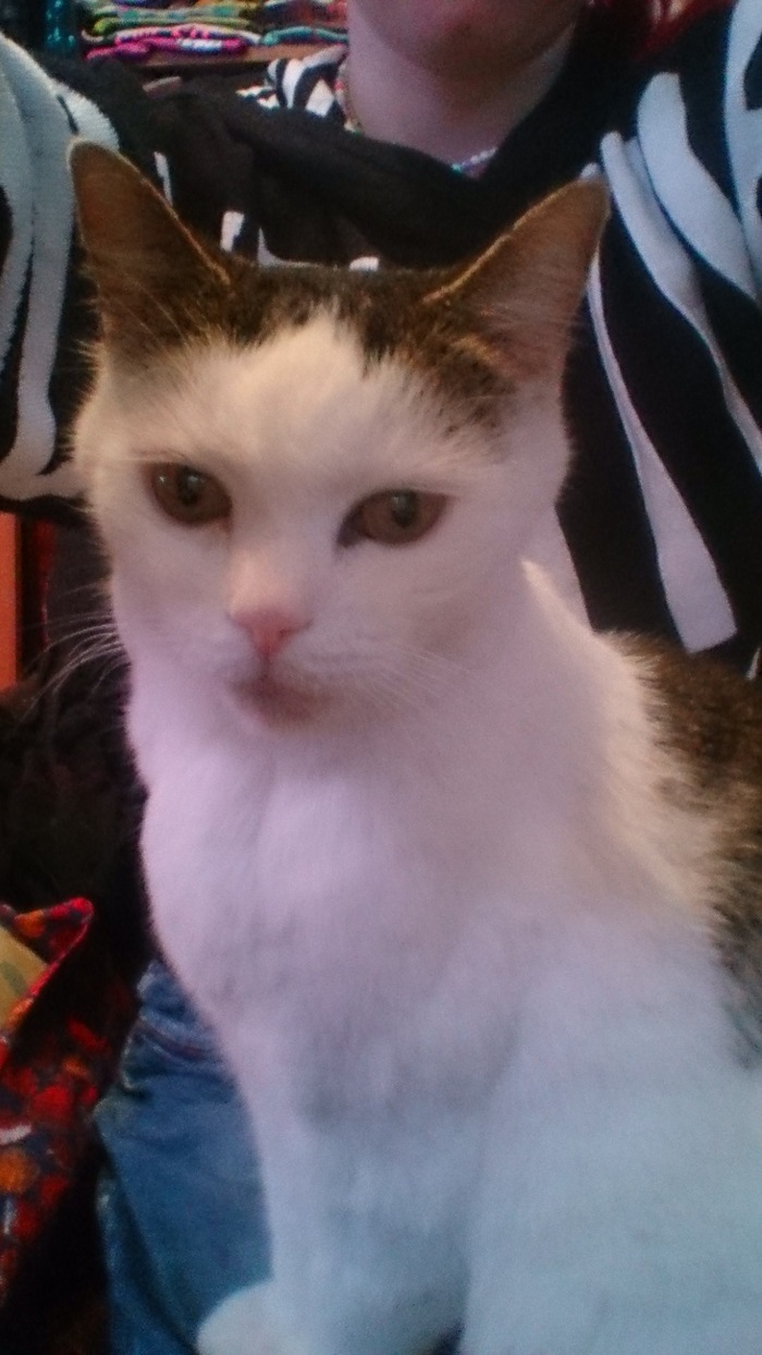 ���������. ��� �� ����� ����