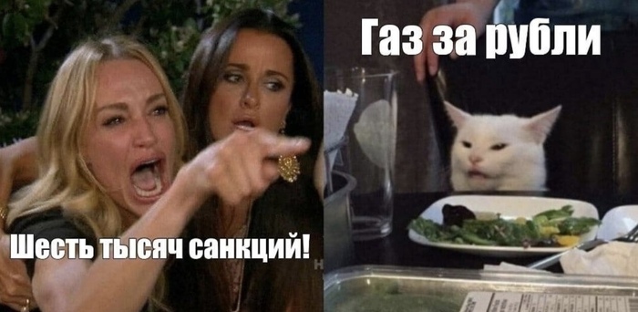 #Новости Мемы, Две женщины орут на кота, События