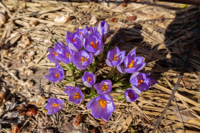 �������� ��� � �����