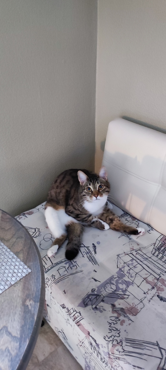 ����������� ���