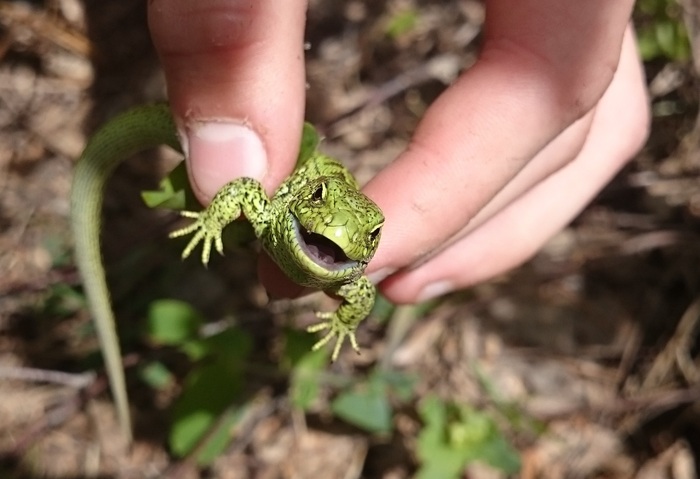 Хватит негатива