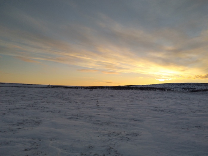 ������, ���������