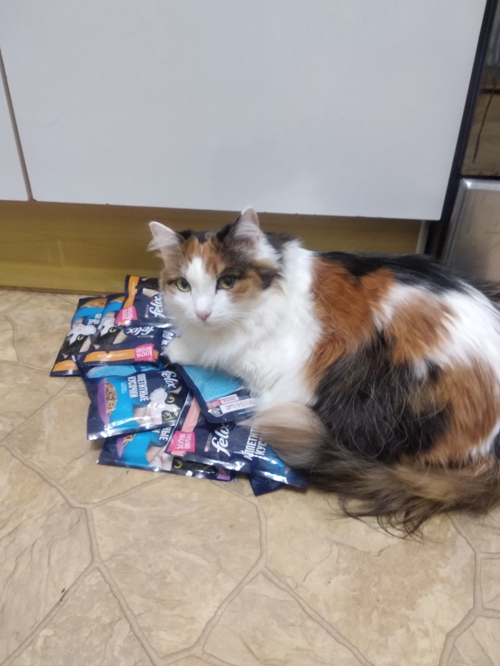 � ������� ������