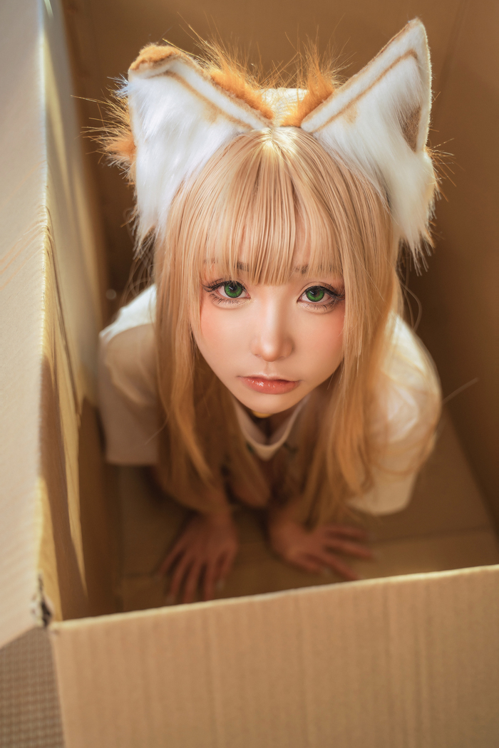 Nekokoyoshi  Meow sauce's day , , , , , , , , Animal Ears, , , Nekokoyoshi, Kinako