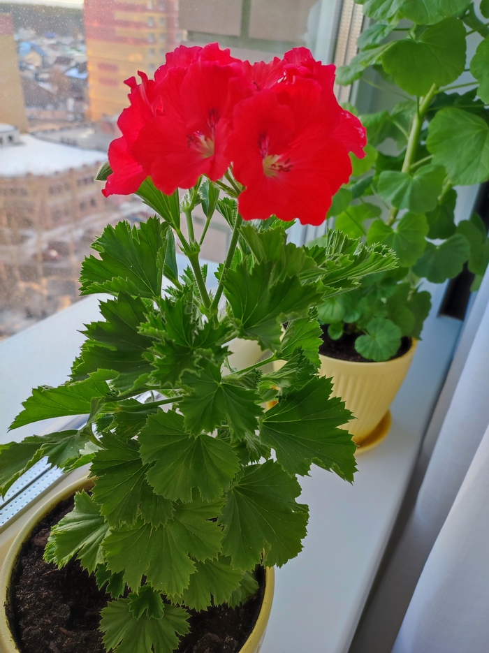 ������� � �����