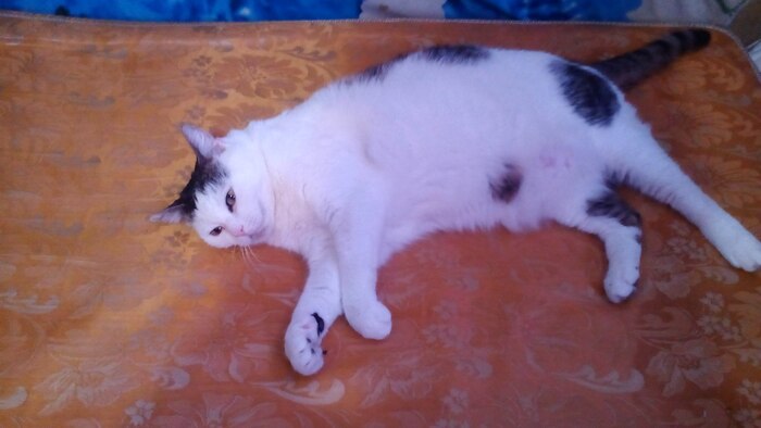 � ����� ��� �� ����� ����