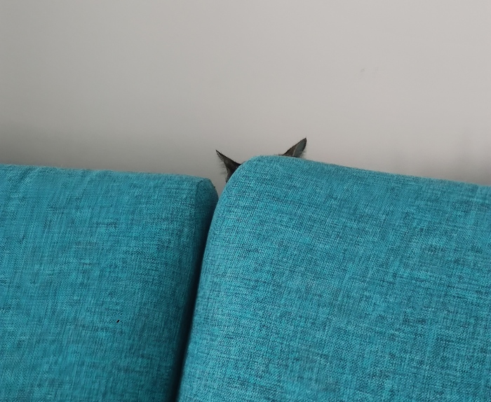 ������� ����� �������� ��������