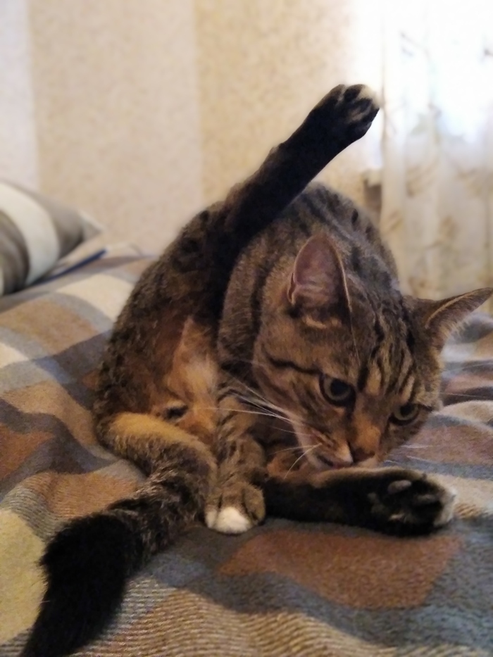   , , ,  , , 