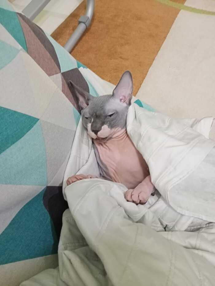 Я пикабушник. Ещё какой