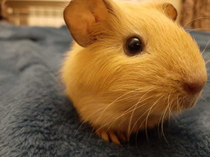 � ��� � ��� ������� ������� ������, �������� ��������, ����������