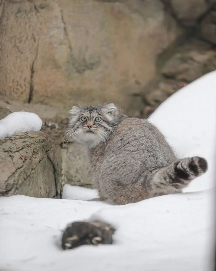 Отвернулся быстро! А лучше вообще исчезни с линии горизонта...