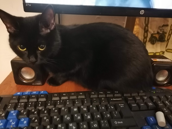 ����� ���������, �� ���� �������� ����������