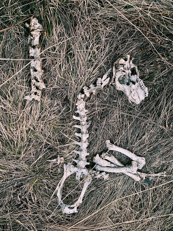  , , , 