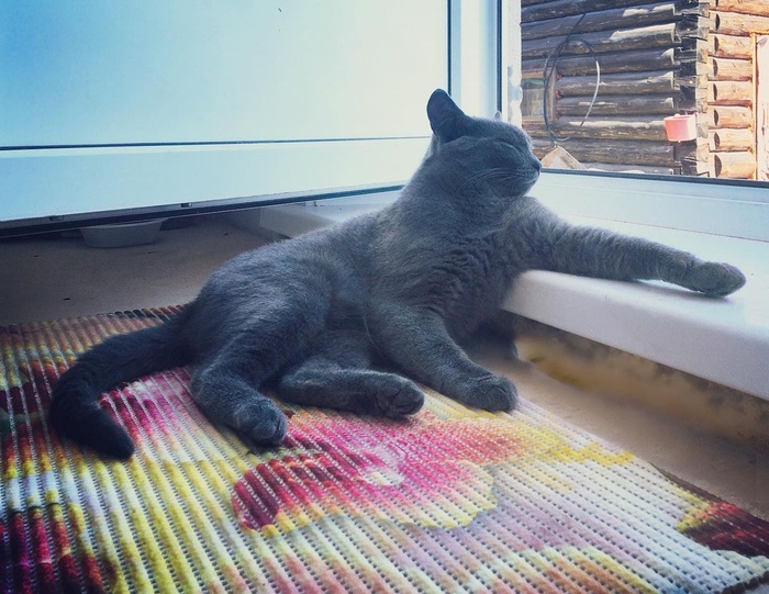 Ренессанс начало