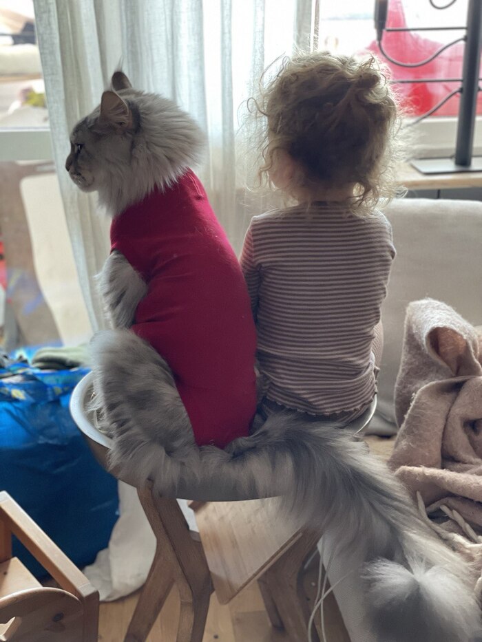 Девочка и кот