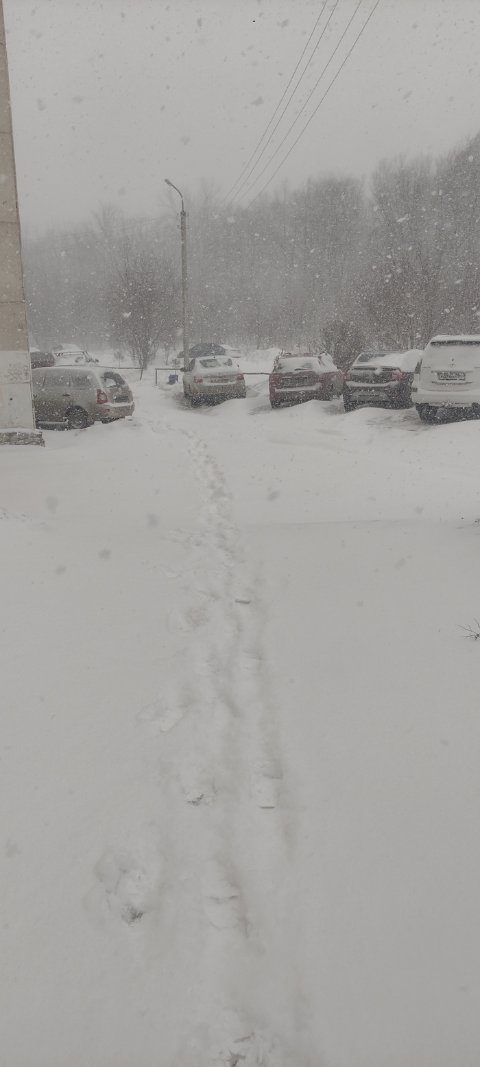 Весна, говорили они...