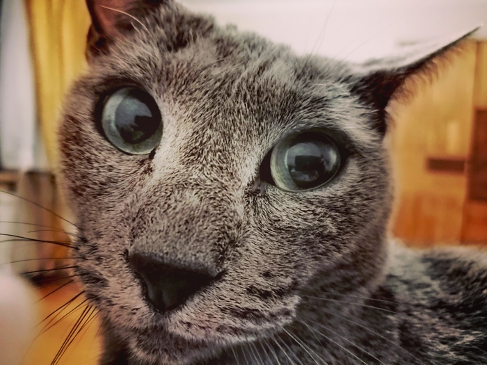 ��������� ����������