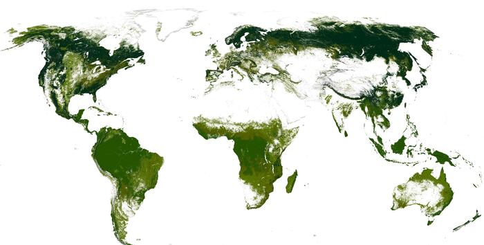 Естественная густота леса (без деятельности человека) Карты, География, Мир, Лес, Природа, Россия