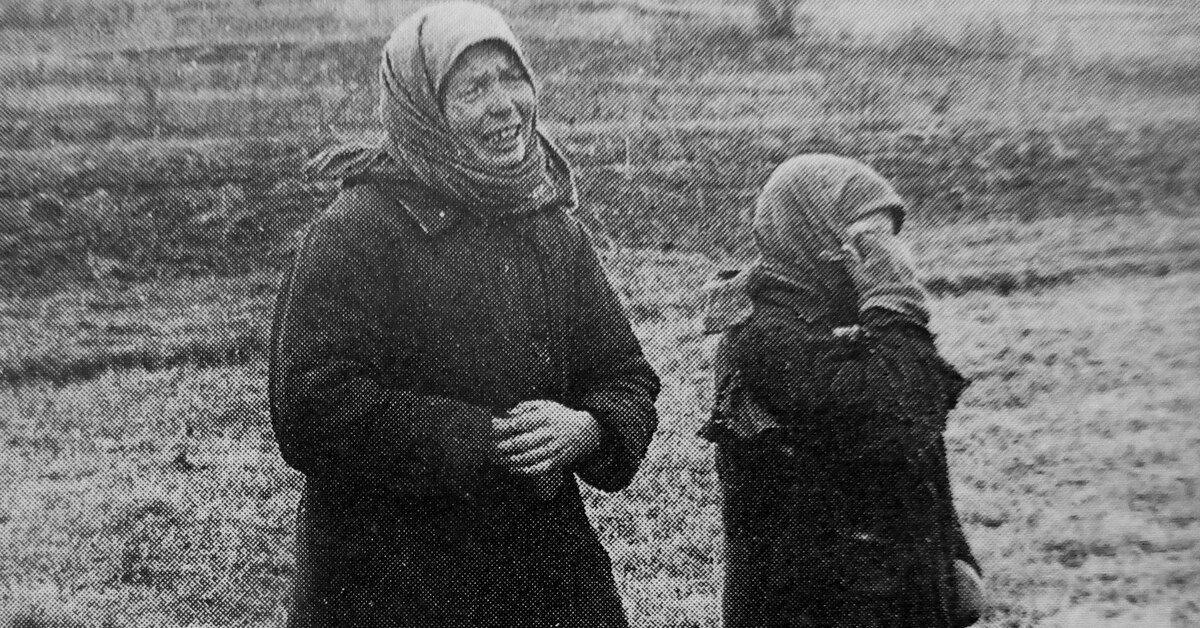 разрушенная деревня 1945 вов. змиевская балка 1942 расстрел. иновицкий, дворец пионеров, сталино (ныне г. немцы в краснодаре 1942-1943. контрационный лагерь в крыму.